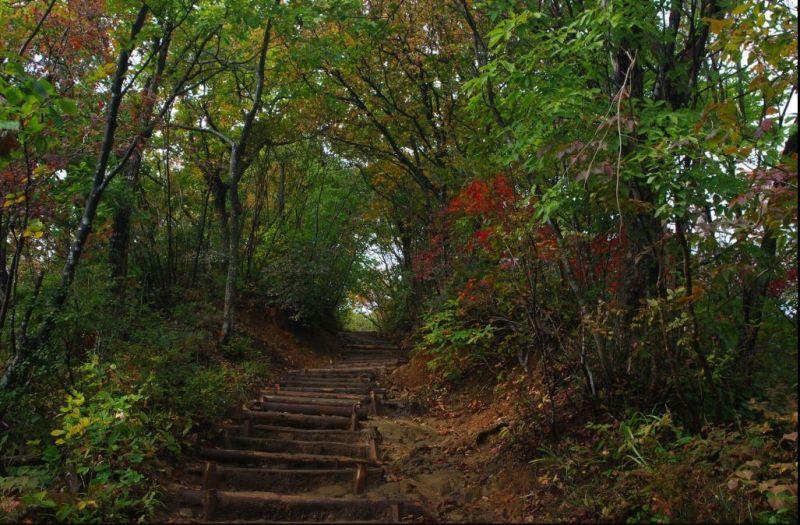 con đường mòn dẫn lên đỉnh núi yahiko